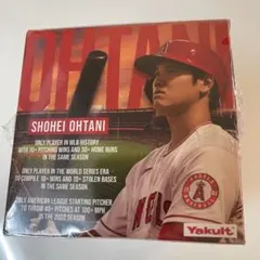 【新品未開封】Shohei Ohtani 100ピースパズル　大谷翔平