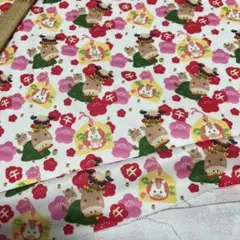 ポリエステル裏毛ニット生地