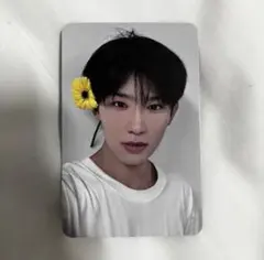 ホームレース　ミーグリ　クジ　トレカ　イチェン　入場特典