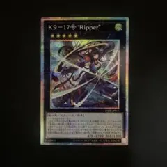 2026年最新】リッパー プリシクの人気アイテム - メルカリ