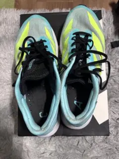 Item thumbnail for item b341a0ed-35da-460b-9351-fc0ac53f18c7