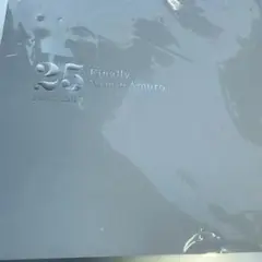 25 Finally Namie Amuro 1992-2017