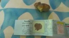 Item thumbnail for item db04c99c-cdac-4fb4-b79a-facd3db5f6b2