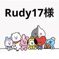 Rudy17様