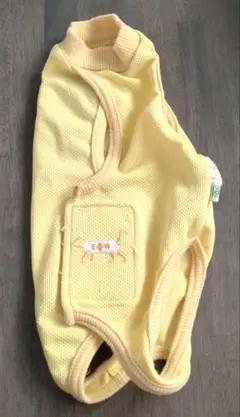 Item thumbnail for item 3e2a4d21-3ca0-4ffd-bcad-bcb1376b9f07