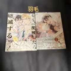 羽毛セット