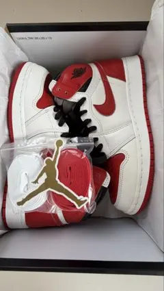 Nike GS Air Jordan 1 High OG 