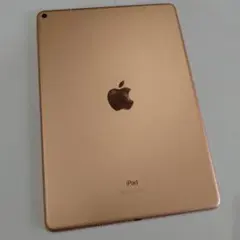 Apple iPad 第10世代 セルラーモデル 64GB Apple iPad 10.9インチ 第10世代 Wi-Fi+Cellular 64GB 2022年秋