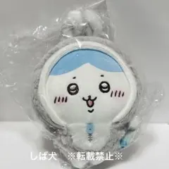 【タグ付き】ちいかわ　ハッピーバッグ2023（卯年）　干支ぬいぐるみ　ハチワレ