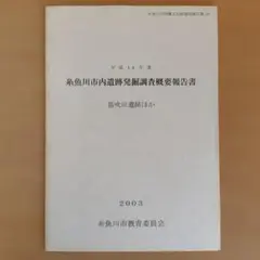 平成14年度　糸魚川市内遺跡発掘調査概要報告書　笛吹田遺跡ほか
