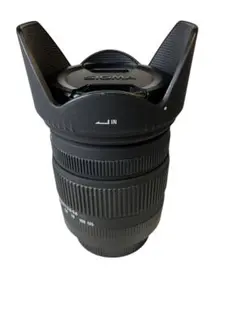 Item thumbnail for item f5e62451-b1aa-40a6-a2bb-ead3f5efcde2