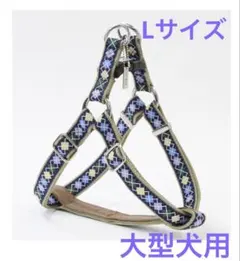 Item thumbnail for item 1f64fc0f-7495-459c-9165-0c21ab00be02