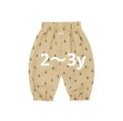 【新品未使用】organic zoo 2〜3y