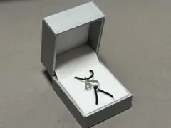 Item thumbnail for item 1a8c7854-32dc-43fa-8e66-c2c6aa95109e