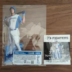 日本ハムファイターズ 万波中正選手 のぼり.旗 - メルカリ