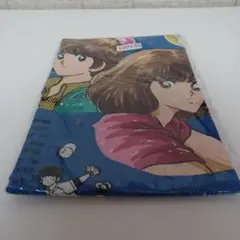 Item thumbnail for item 442a7932-c677-4e37-94a9-b349e1c5ee6b