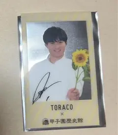 Item thumbnail for item 12c0c489-9934-487d-8a24-e36911139ff6