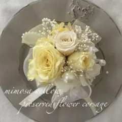 Item thumbnail for item 2fca878f-5fdd-44c3-bacf-ebd6628889e5