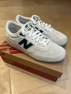 Item thumbnail for item 420acdfc-9bfe-409c-9f76-138866682a03