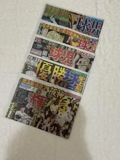 阪神タイガース 2025優勝記念新聞5冊セット（号外ではありません）
