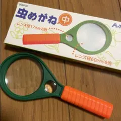 Item thumbnail for item cbe772e9-ed8f-459b-a83f-f90da487698e