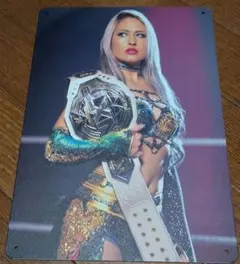 ジュリア WWE NXTチャンピオンベルト 金属ポートレート A4サイズ