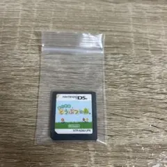 DS おいでよどうぶつの森