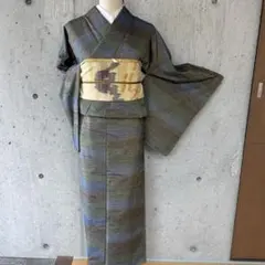9月単衣 正絹紬 秀逸 縦縞文様 粋な面持ち 軽やか ほんのり艶感 9月単衣 正絹紬 秀逸 縦縞文様 粋な面持ち 軽やか ほんのり艶感 - メルカリ