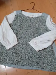 Item thumbnail for item 0ef84f41-af2a-416b-8b93-0583077b076c