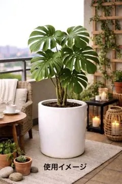 シンプル白 陶器鉢カバー40cm・10号鉢 観葉植物 北欧インテリア