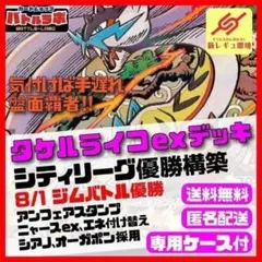 8/1ジムバトル優勝 タケルライコexデッキ シティリーグ優勝構築済デッキ 8/1ジムバトル優勝 タケルライコexデッキ シティリーグ優勝構築済