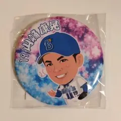 Item thumbnail for item ba1aa2b1-cc02-4ed6-a671-d62d3340ec2a