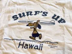 Item thumbnail for item 9f0cb3ce-c192-4677-a334-3d16829ed2d4