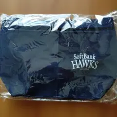 Item thumbnail for item 8e7e892e-4a3f-44ea-981a-5fc2cc19ab70