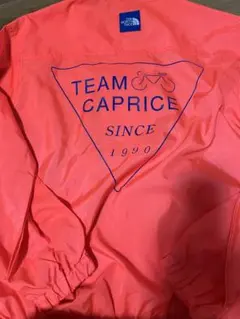 THE NORTH FACE TEAM CAPRICE ウィンドブレーカー