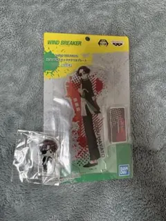 WIND BREAKER 蘇枋隼飛 アクリルスタンド