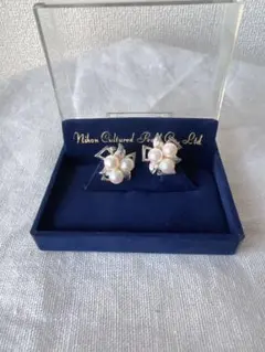 Item thumbnail for item 5f9e67f2-dfe1-43b5-a3ca-76c7ceb06529