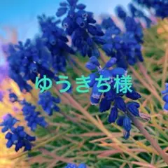 ゆうきち様専用