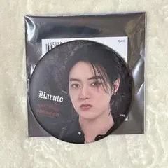 treasure ハルトLOVEPULSE 缶バッジ