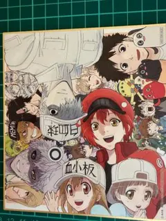 はたらく細胞 入場者特典 ミニ色紙 赤血球 白血球 血小板