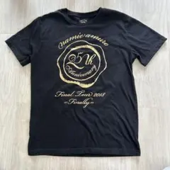 新品Mサイズ25周年安室奈美恵さんTシャツ 安室奈美恵 25th anniversary 25周年 引退 沖縄限定Tシャツ