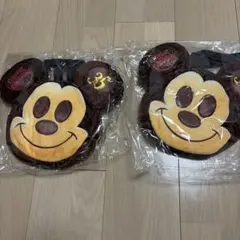ディズニーランド　35周年　スーベニア　ランチバッグ