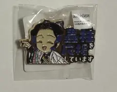 鬼滅の刃 マチアソビに行ってきました 缶バッジ 胡蝶しのぶ バッジ・ピンズ 胡蝶しのぶ 「鬼滅の刃×ufotable cafe×マチ