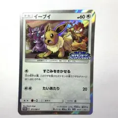 超希少 ポケモン ずかんカード イーブイ EVO シャワーズ ブースター 3D