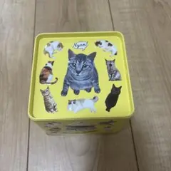 猫　空き缶