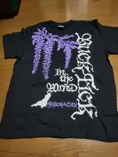 BUCK-TICK 2024 BIG Tシャツ Mサイズ バクチク - メルカリ