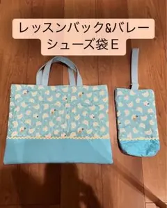レッスンバッグ＆バレーシューズ袋セットE