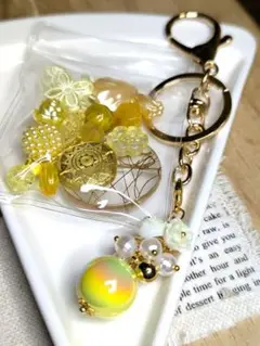 シャカシャカビーズのチャーム♡