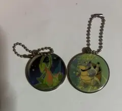ポケモン メタルチャーム キーホルダー 2個セット ジョプトル　カメックス
