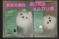 新品未開封　TXT PPULBATU ボムギュ　スビン　ヨンモン　キーリング